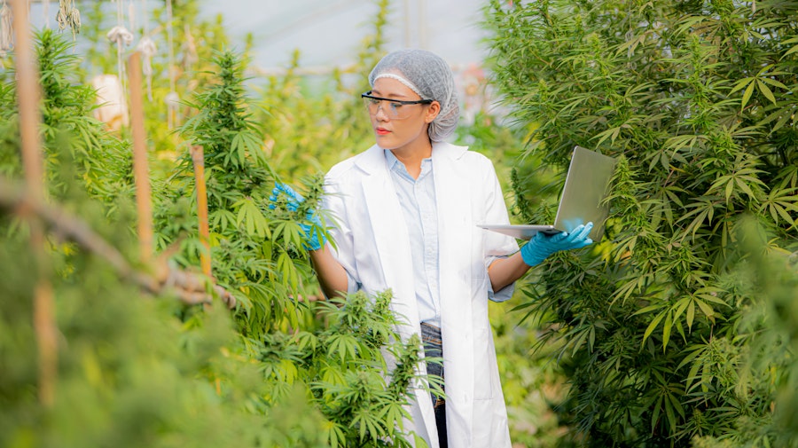 Releaf Cannabis Clinic Company Updates | Releaf UK