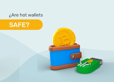 Are hot wallets safe?