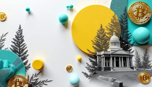 Pi Network: A Glimpse into Speculation and Stability