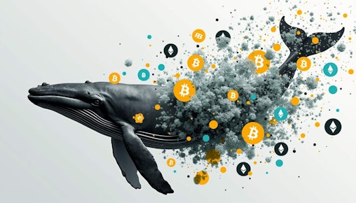 Movimentos das Baleias e Seu Impacto nas Plataformas de Negociação de Criptomoedas