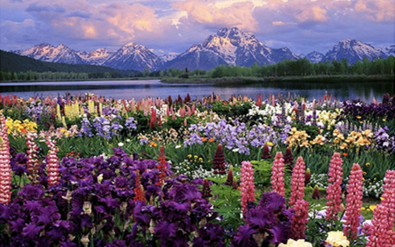 1542114909 schermata 2018 09 13 alle 17 30 29