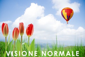 1546589375 visione normale