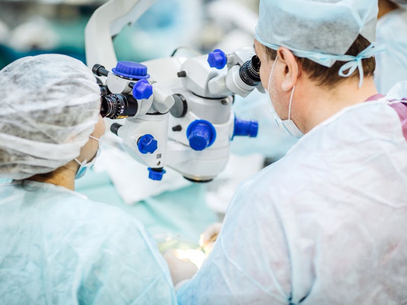 1551365868 shutterstock693907876