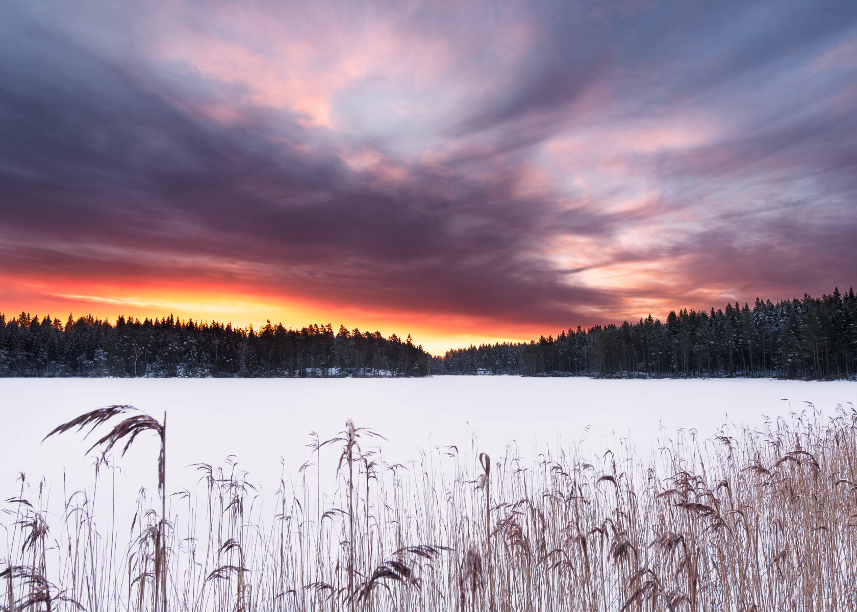 Soluppgången vid Mjögasjön skapar en brinnande horisont av alla flammans toner.