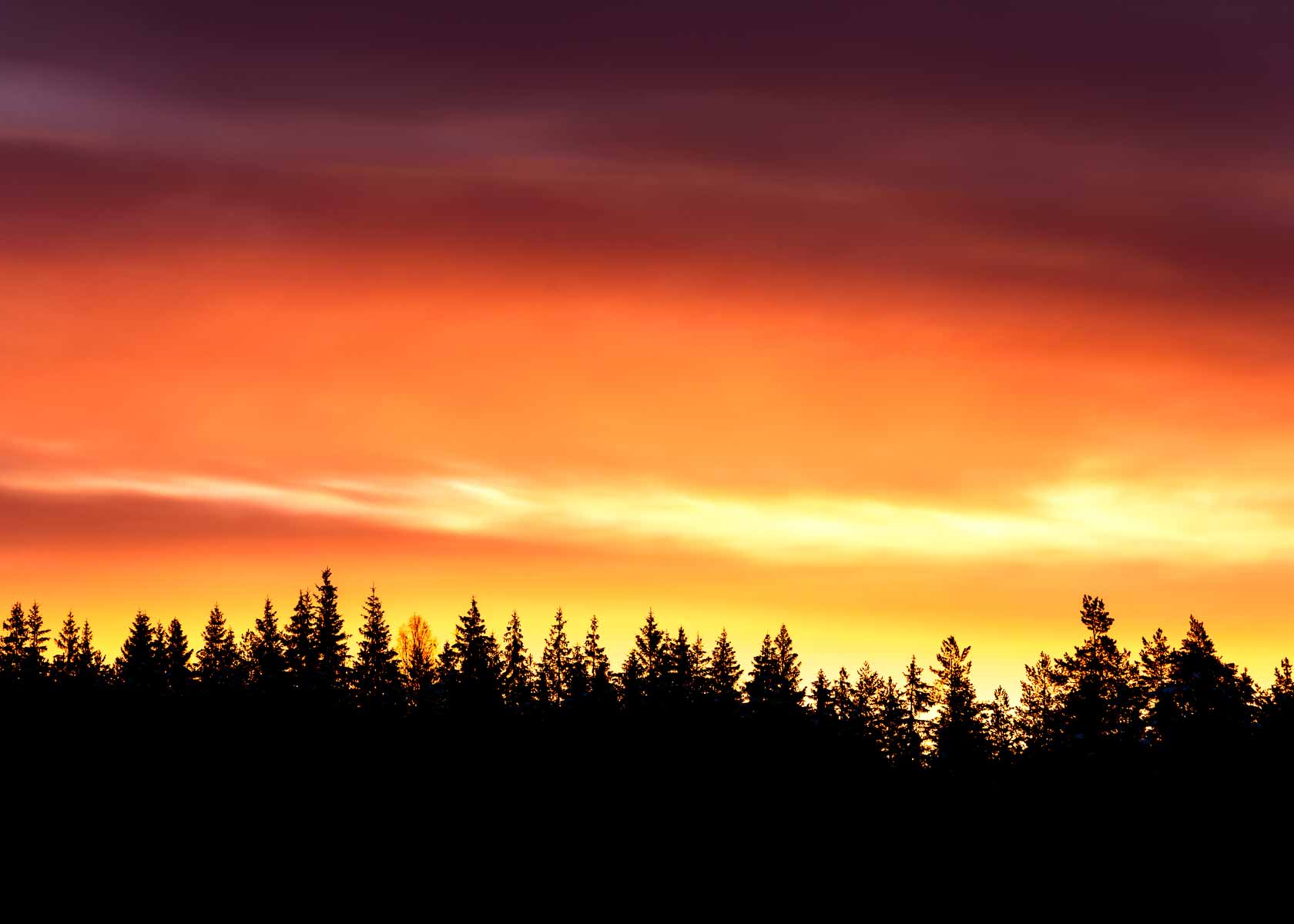 Himlen i lågor när solen sakta stiger över den tunga vinterhorisonten.