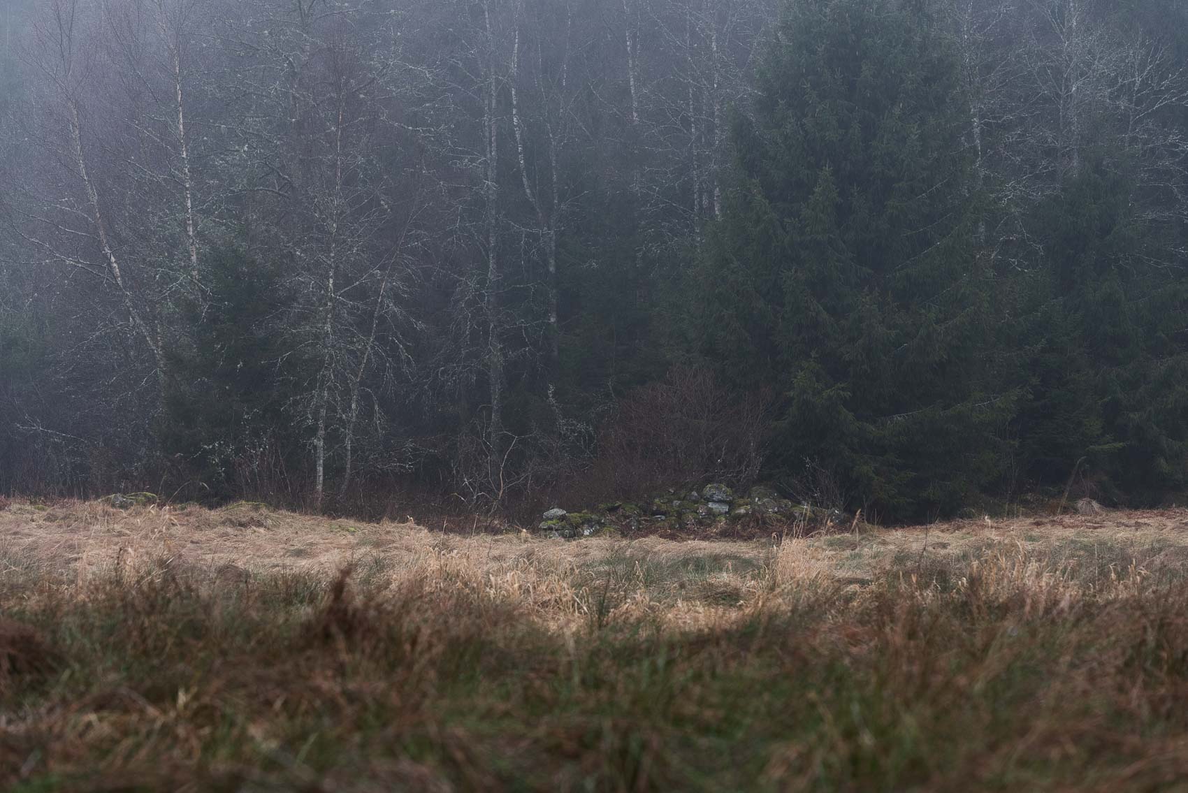 Den gamla hagen går i höstens dova och dunkla toner.