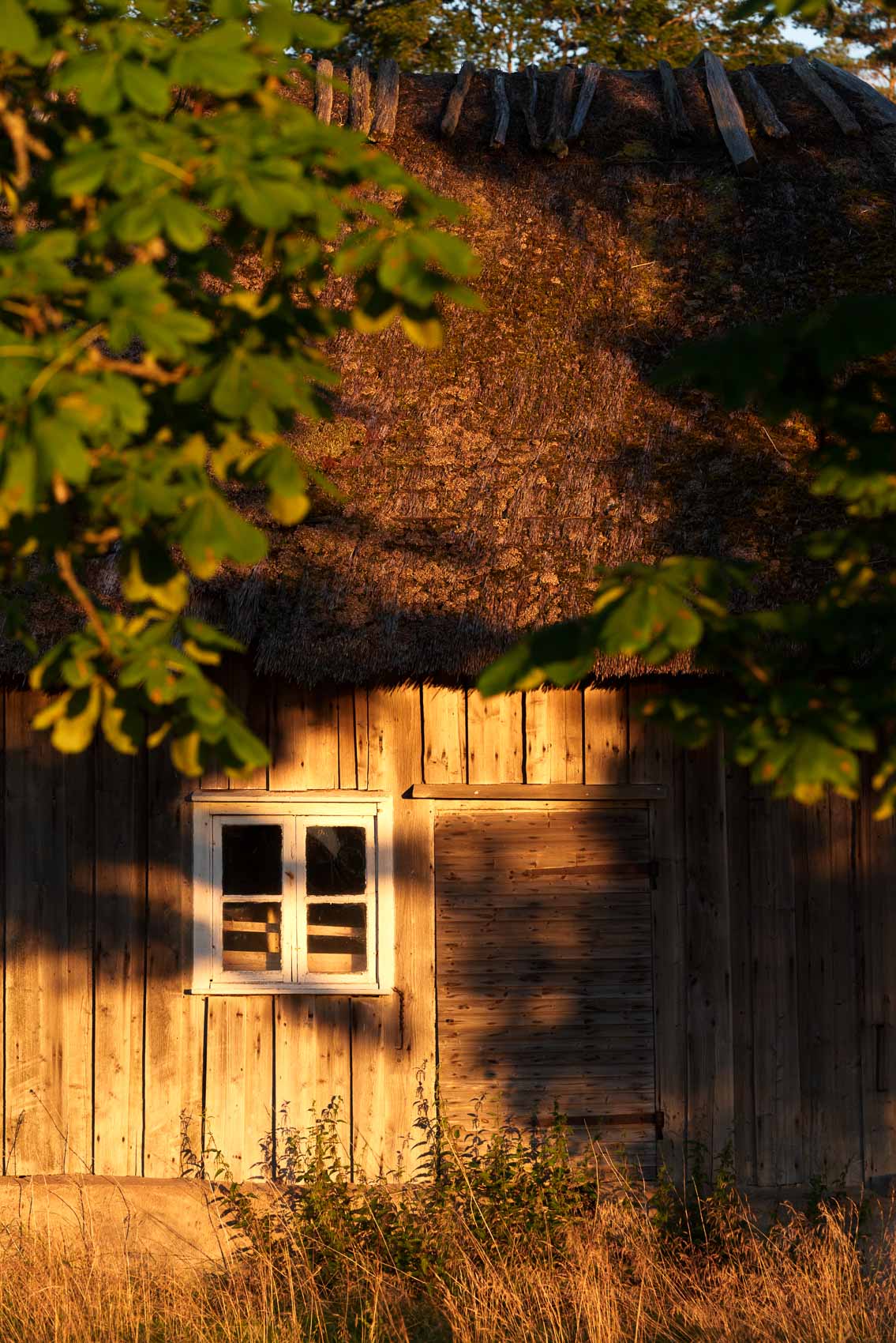 Bland den sista ladugården med halmtak står på slätten i den sköna solnedgången.