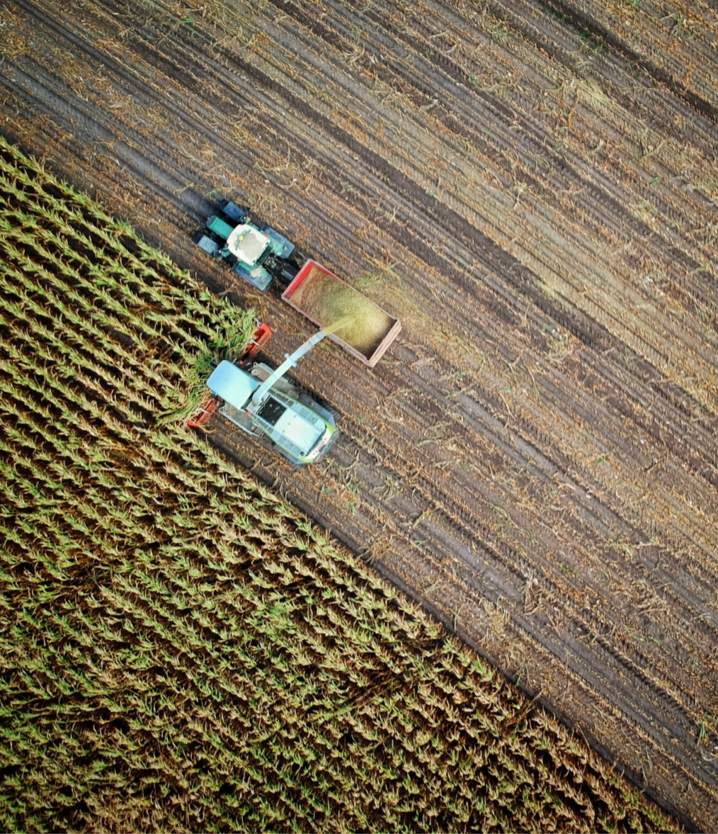 Australian Agricultural Investment