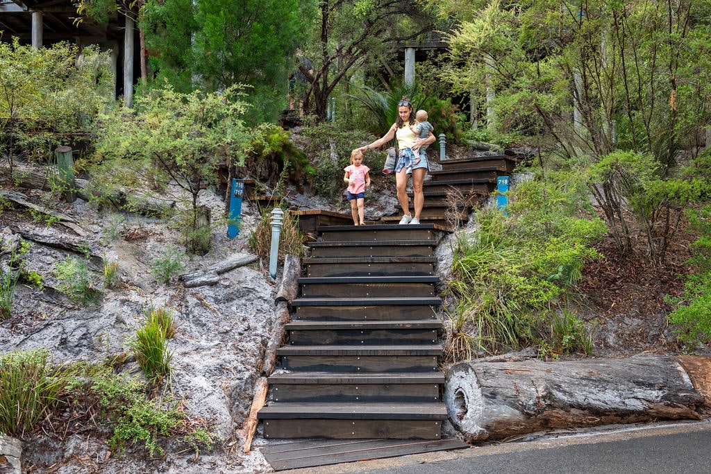 Fraser Island Project