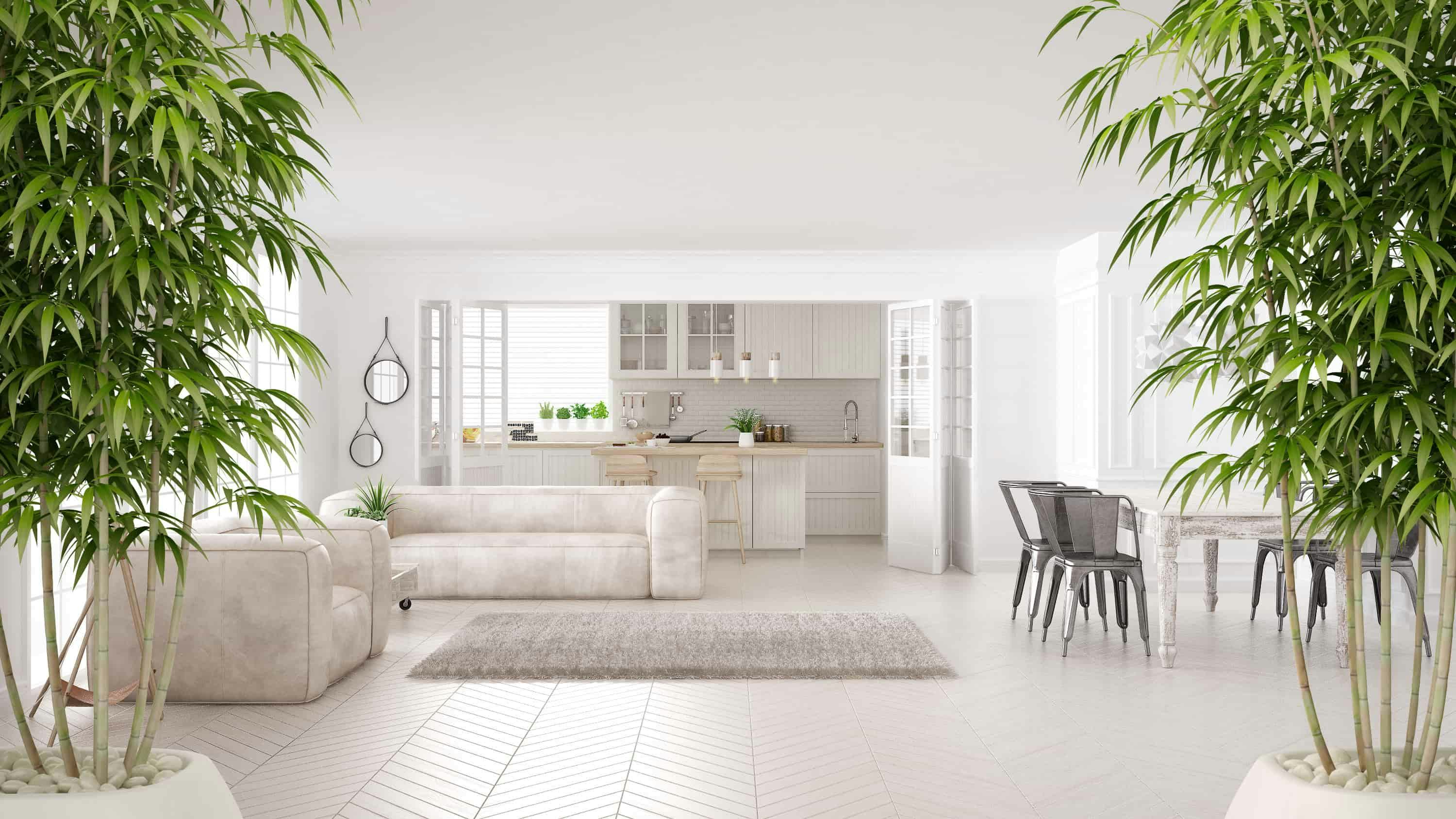 Comment créer une ambiance zen dans votre salon