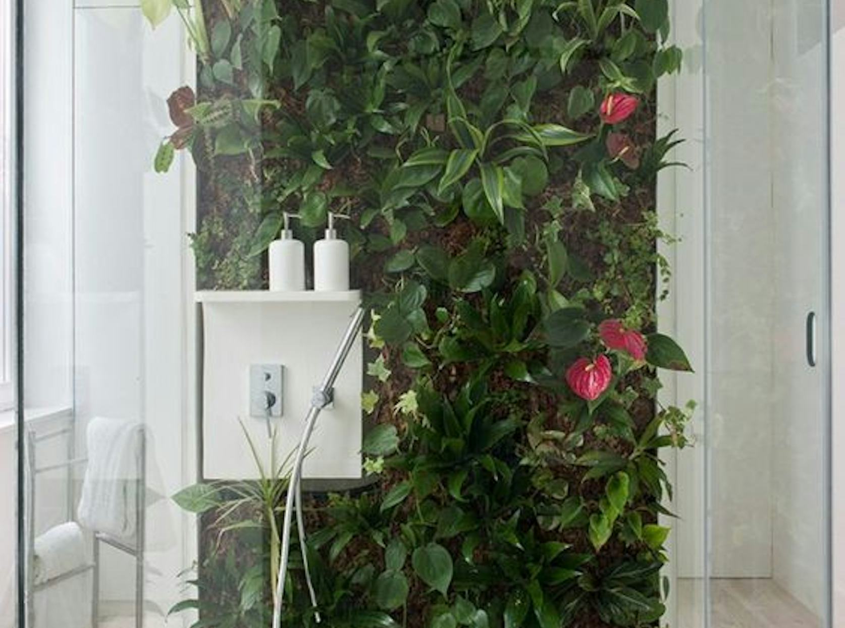 Mur végétale dans une salle de bains