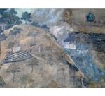 Particolare dell'affresco "Effetti del Buon Governo in campagna" nella sala della Pace al Museo Civico di Siena