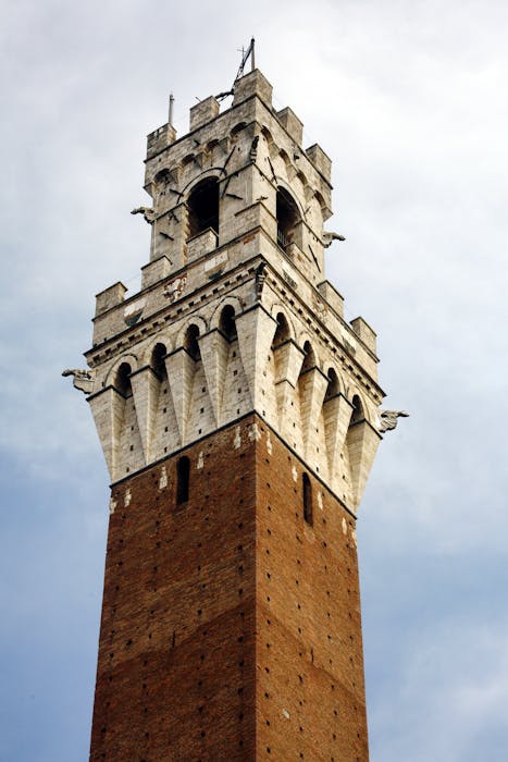 torre del palazzo museo civico parte alta