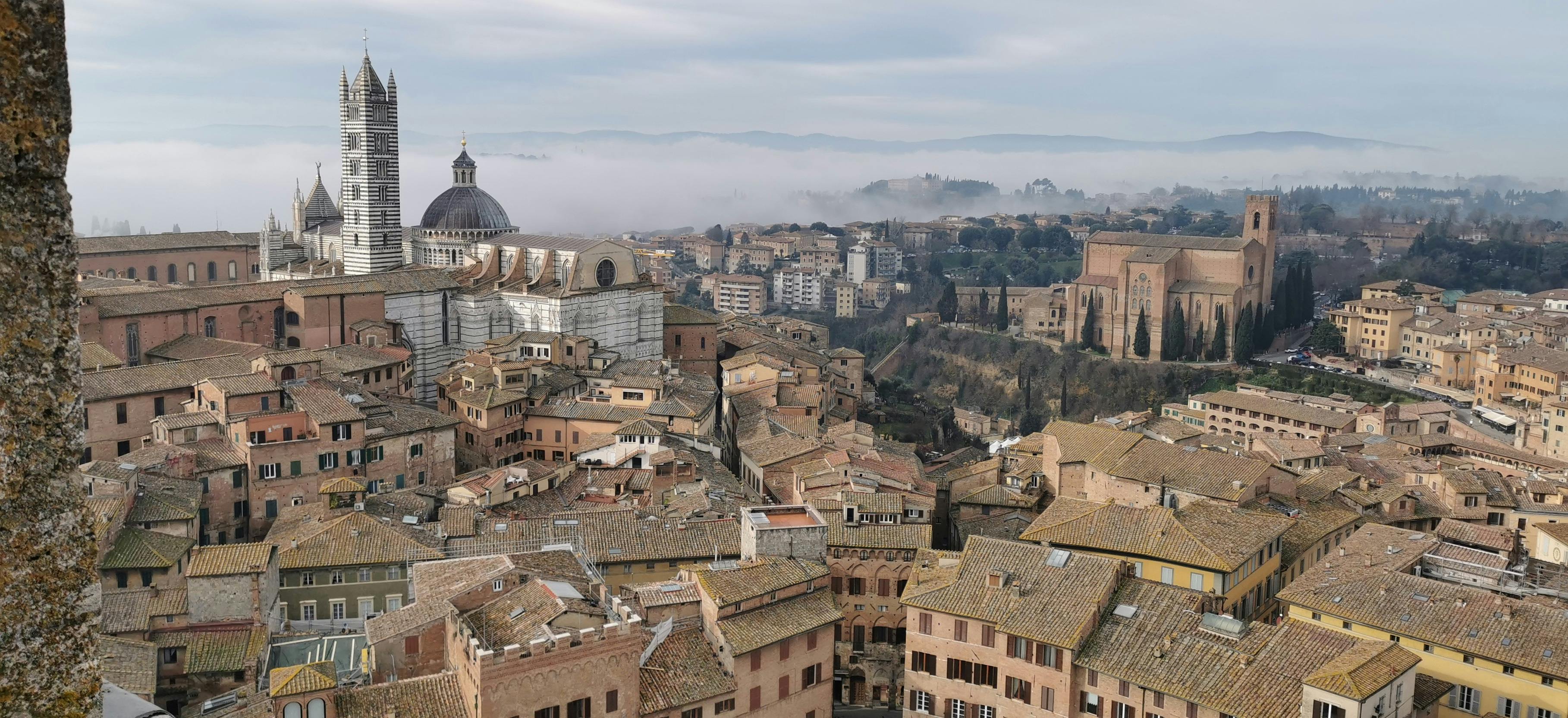 Veduta dalla Torre del Mangia