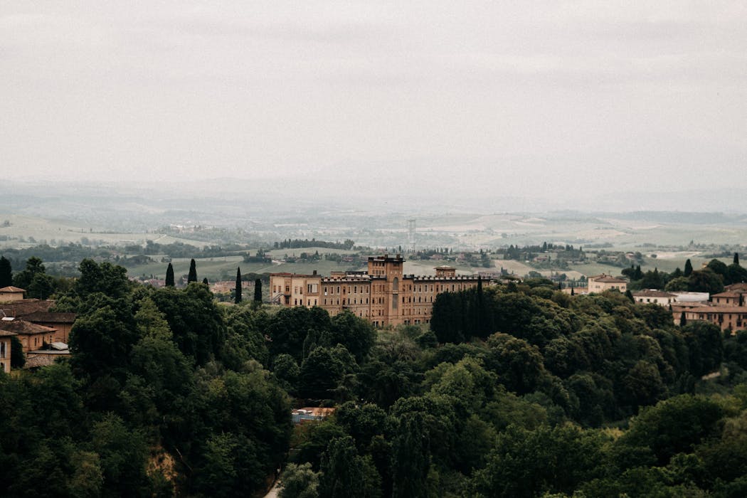 panorama manicomio