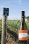 https://www.datocms-assets.com/79014/1778663796-vigna-bianco-d-alessano-vino-bianco-cupa-valle-d-itria-igp-275-euro-1.jpg?auto=format&h=90