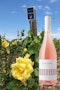 https://www.datocms-assets.com/79014/1778663887-vigna-susumaniello-vino-rosato-le-rotaie-valle-d-itria-igp-320-euro-1.jpg?auto=format&h=90