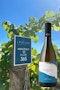 https://www.datocms-assets.com/79014/1778663926-vigna-minutolo-vino-bianco-rampone-valle-d-itria-igp-335-euro-1.jpg?auto=format&h=90
