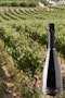 https://www.datocms-assets.com/79014/1778664071-vigna-verdeca-vino-spumante-charmat-i-pastini-bianco-valle-d-itria-igp-320-euro-2.jpg?auto=format&h=90