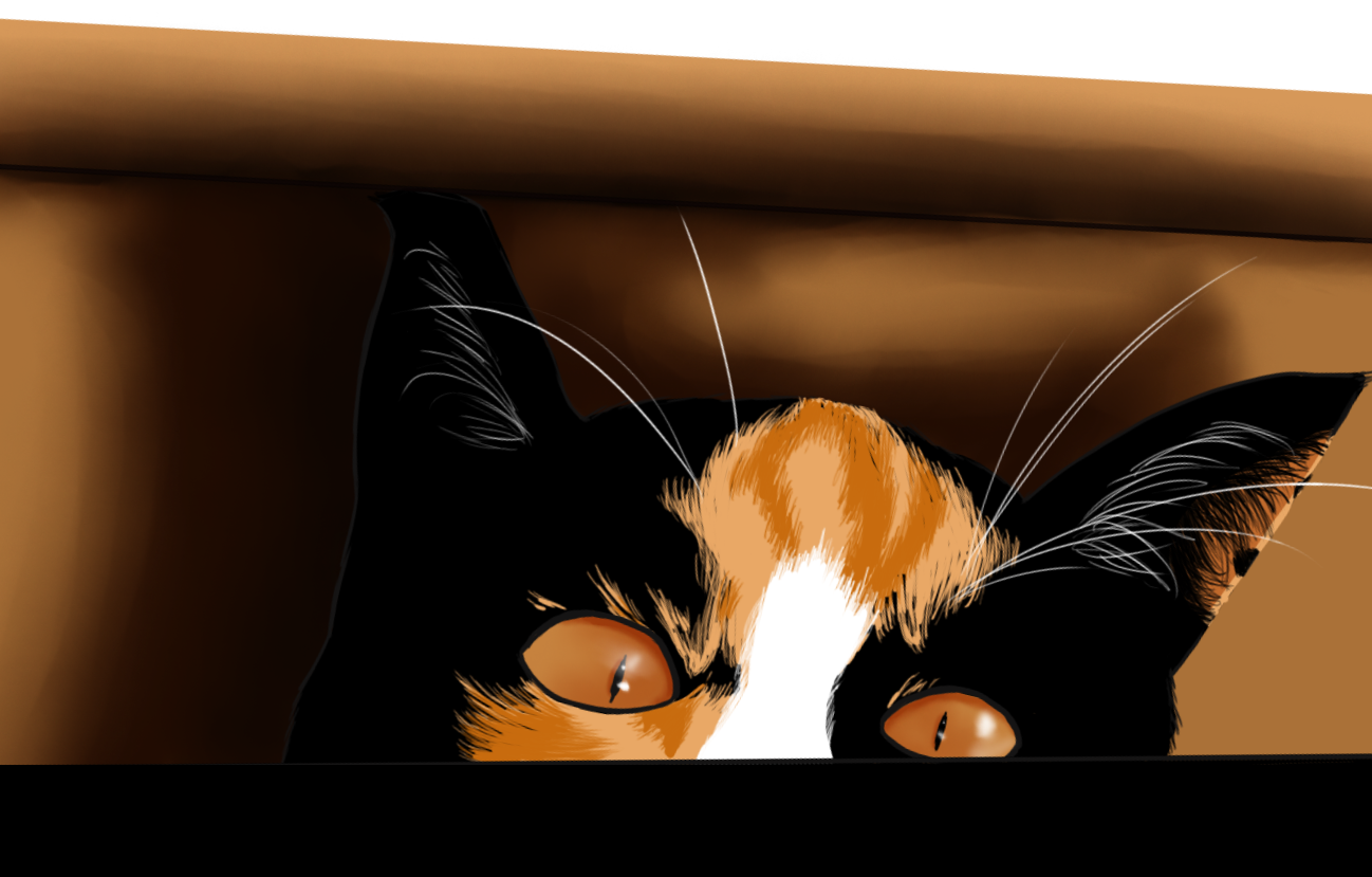 cat