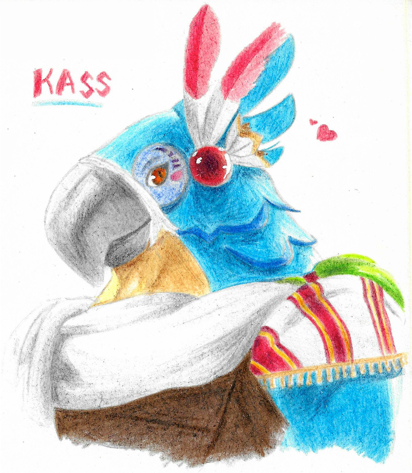 coloured drawing of Kass, a bird