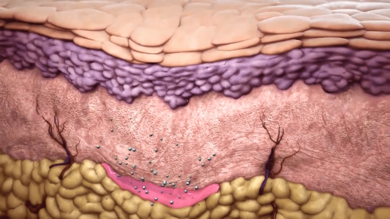 Graphic of a Body Fat