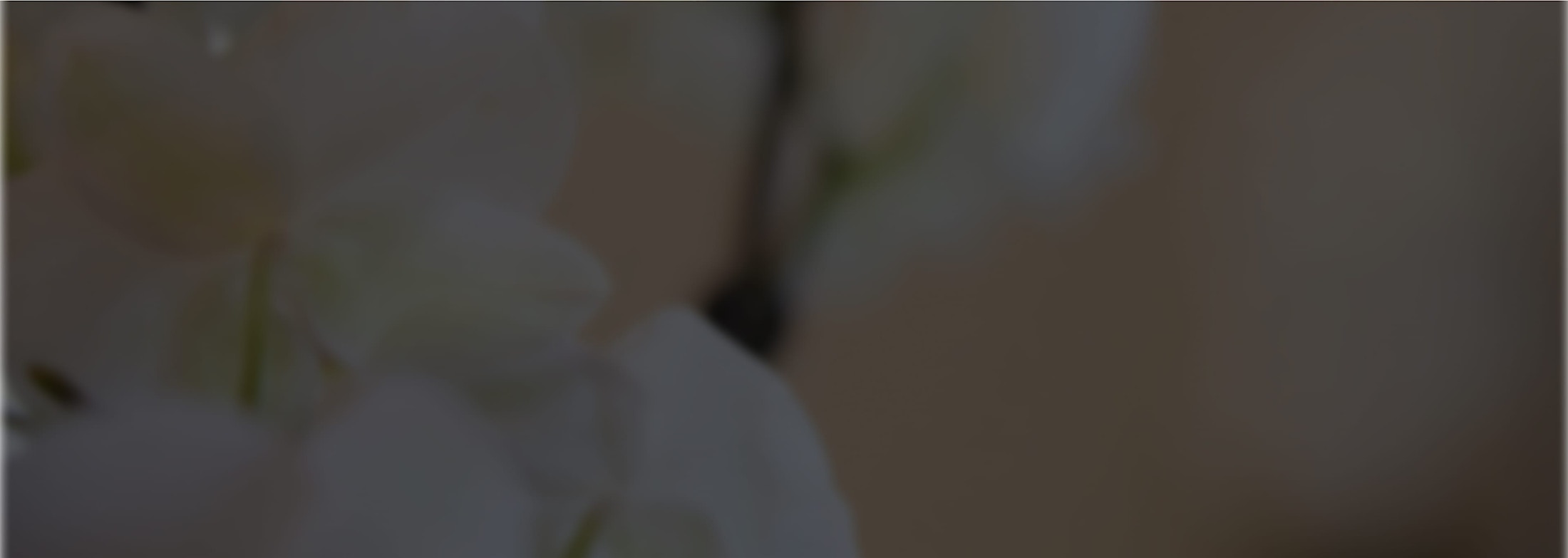 Banner media