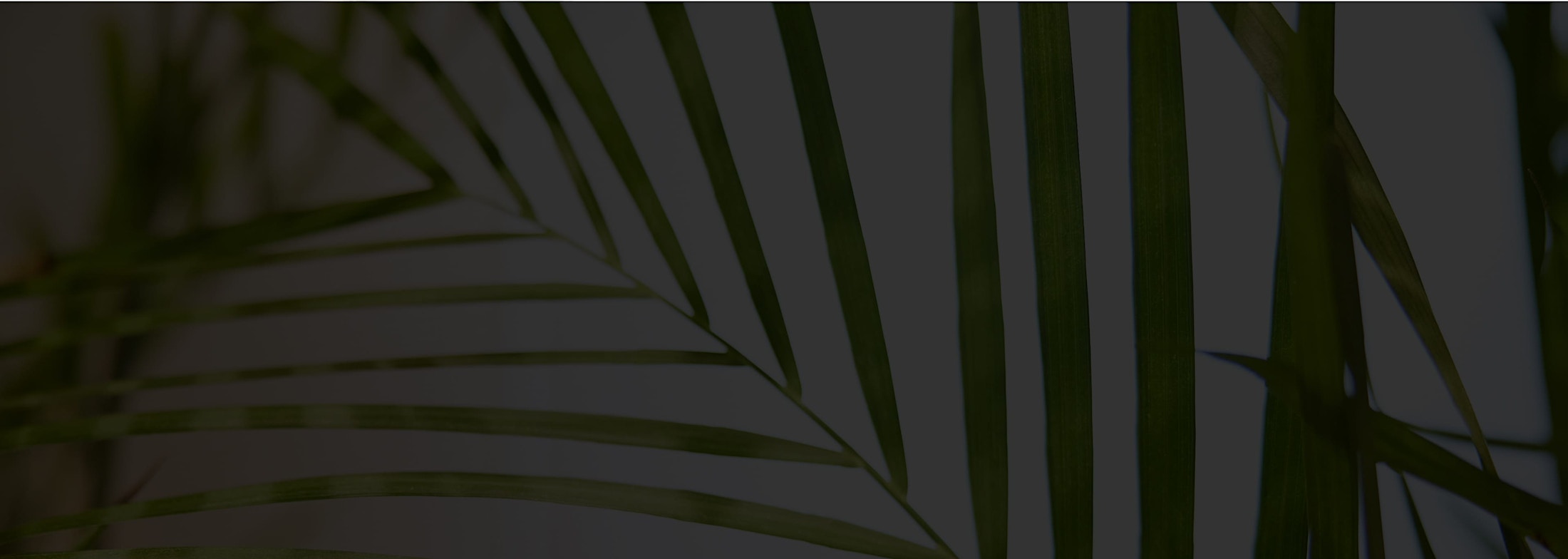 Banner media