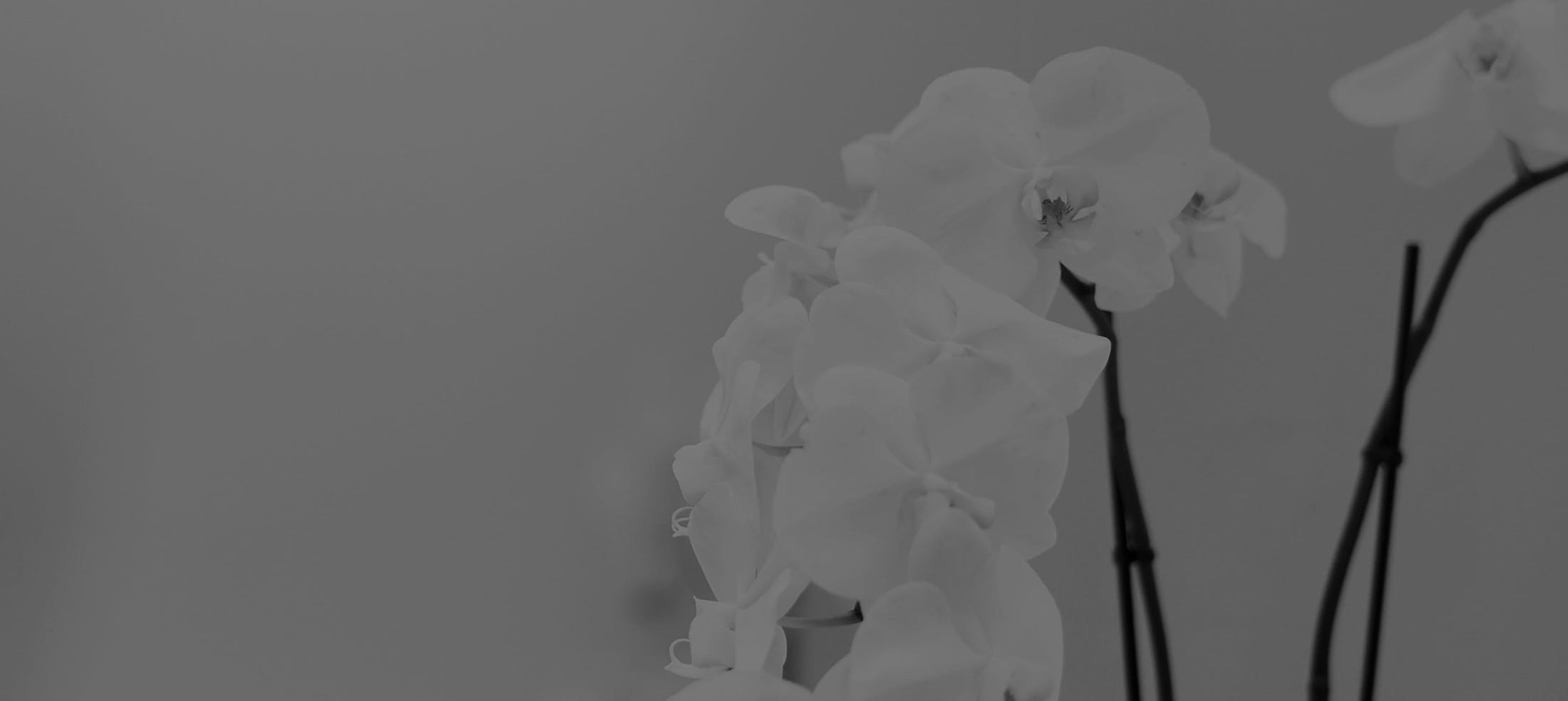 Background media