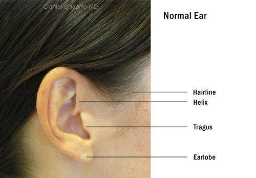 Ear