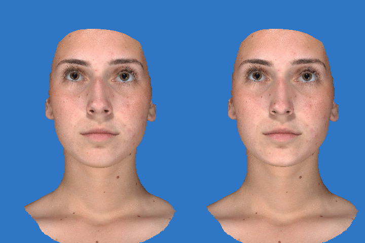 Moving Image of Two Heads