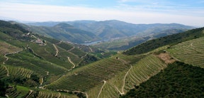 Douro (EN222)