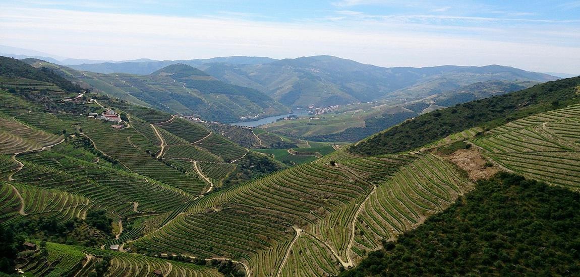 Douro (EN222)