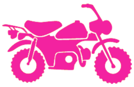 Icon Pink Honda Monkey