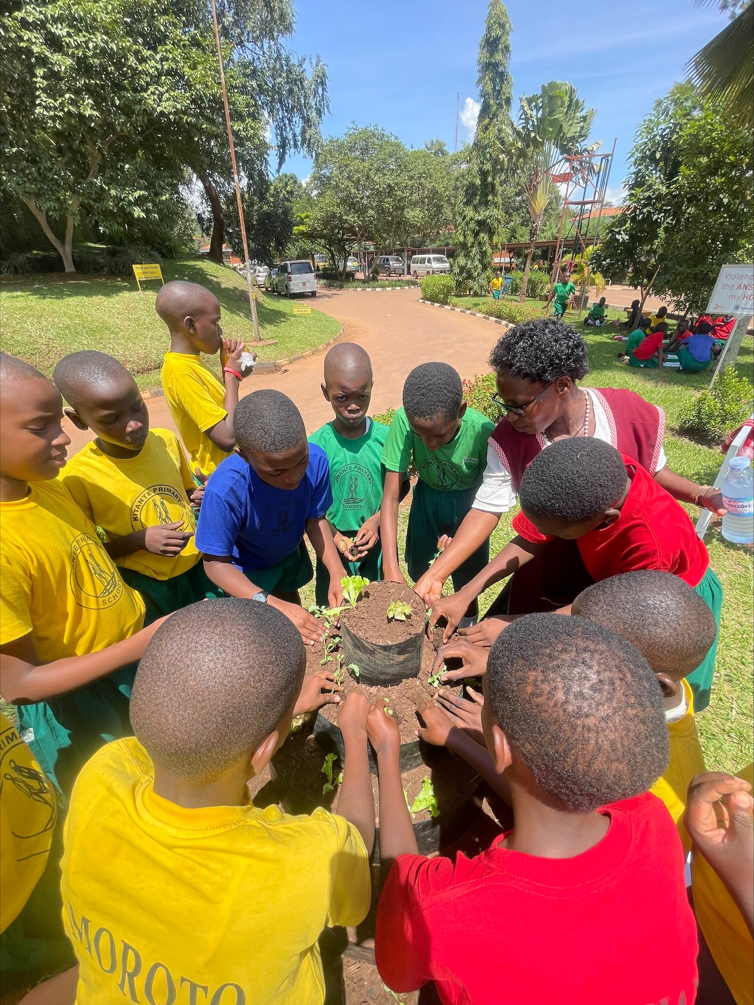 Volontariat et Jeunesse : Un duo dynamique pour un avenir durable ?