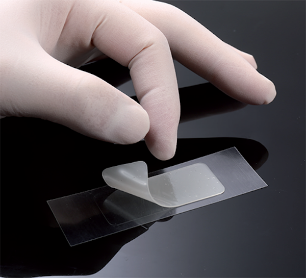 Sinner "non è Attaccabile". Il Dato Sconvolgente Di Ambesi: "Neanche - Foto 8