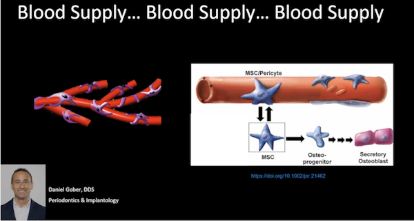 blood supply for graft