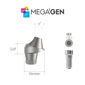 Megagen Compatible Multi-Unit 17-Degree Abutment