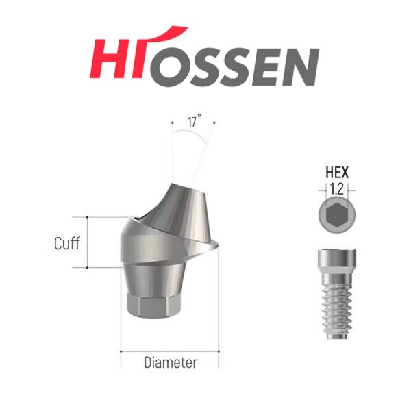 Hiossen Compatible Multi-Unit 17-Degree Abutment