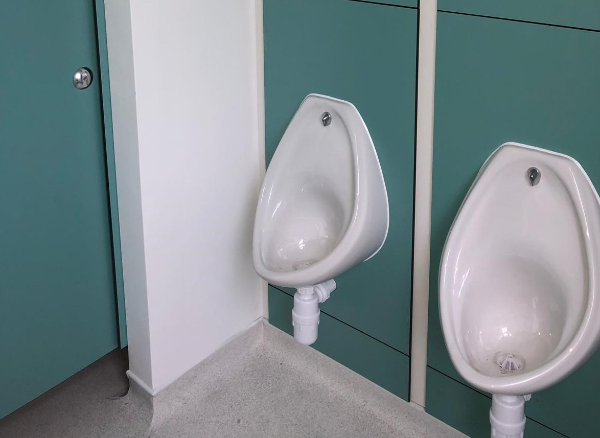 Clore Shalom School, Radlett Case Study Image - 4