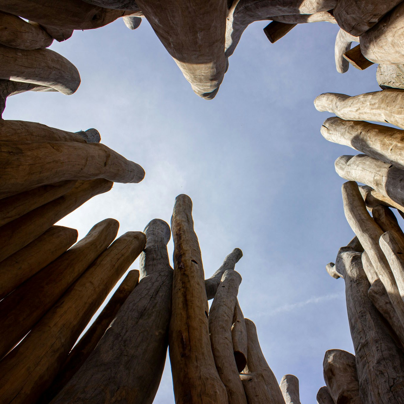 Ein Turm aus Robinienholz