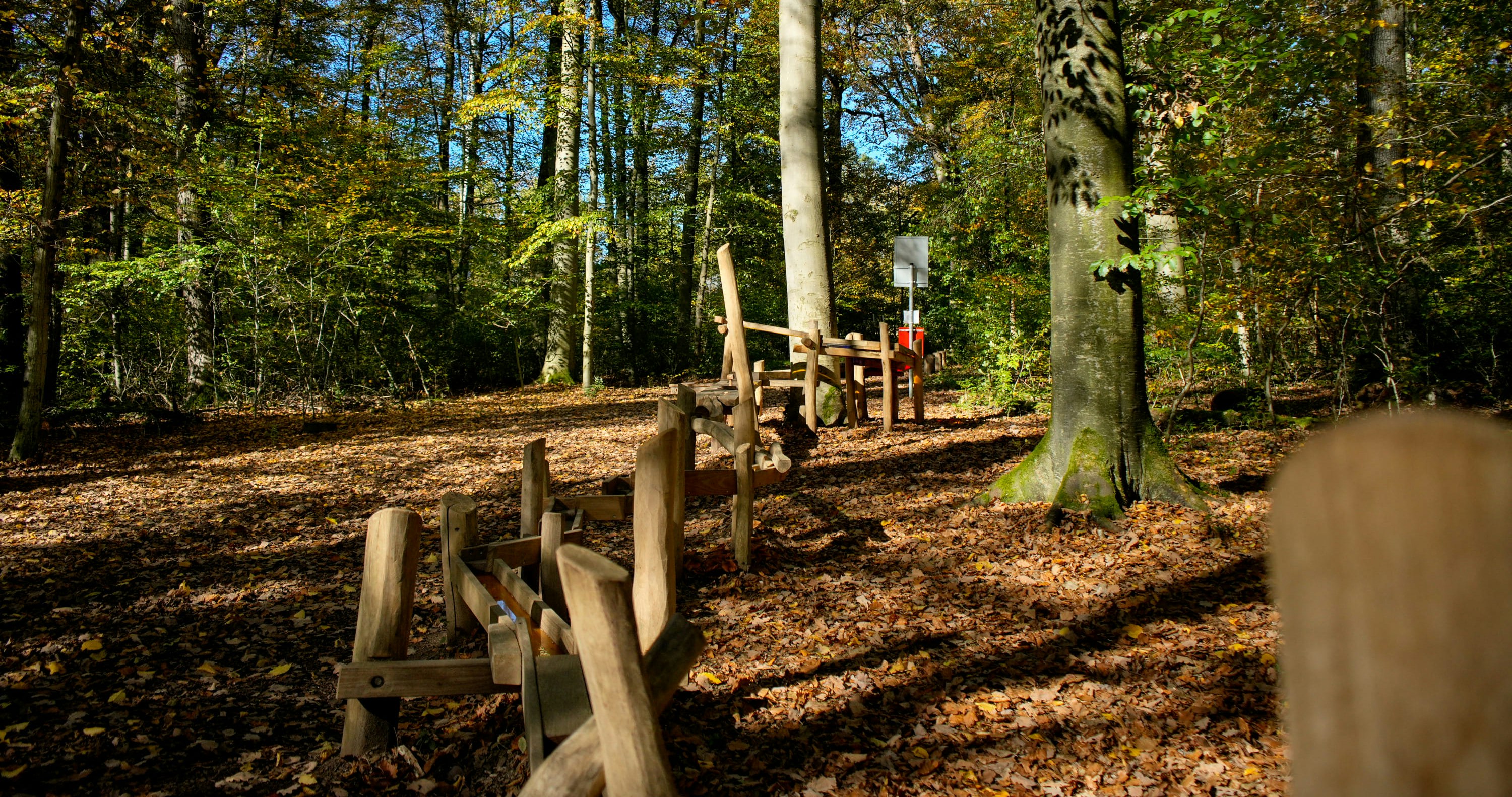 Murmelbahn im Freien in einem Wald, umgeben von hohen Bäumen und gefallenen Blättern unter einem klaren blauen Himmel.