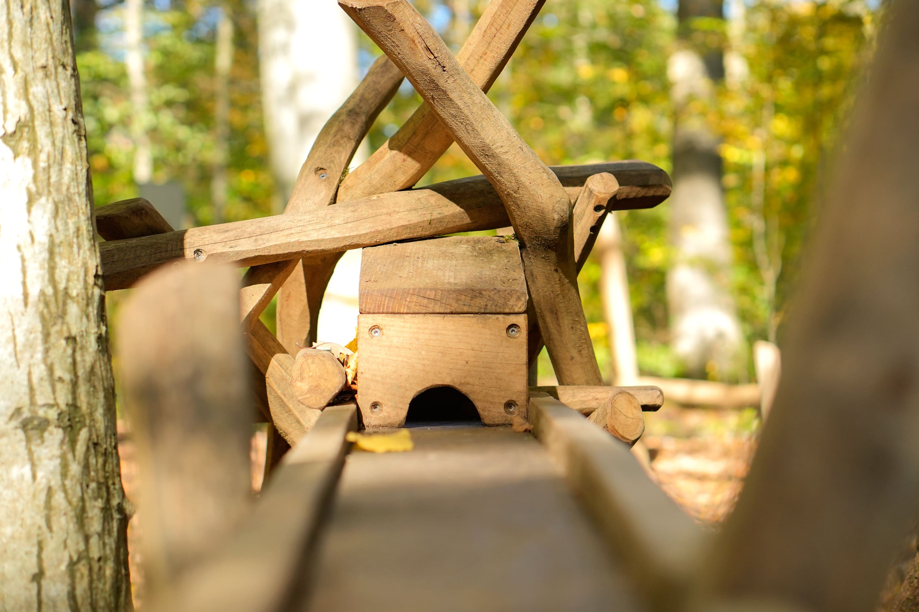Nahaufnahme einer Holzkonstruktion mit Baumstämmen und Balken, die einem Spielplatz oder einer Skulptur in einer Waldlandschaft ähnelt. Sonnenlicht fällt durch die Bäume im Hintergrund.