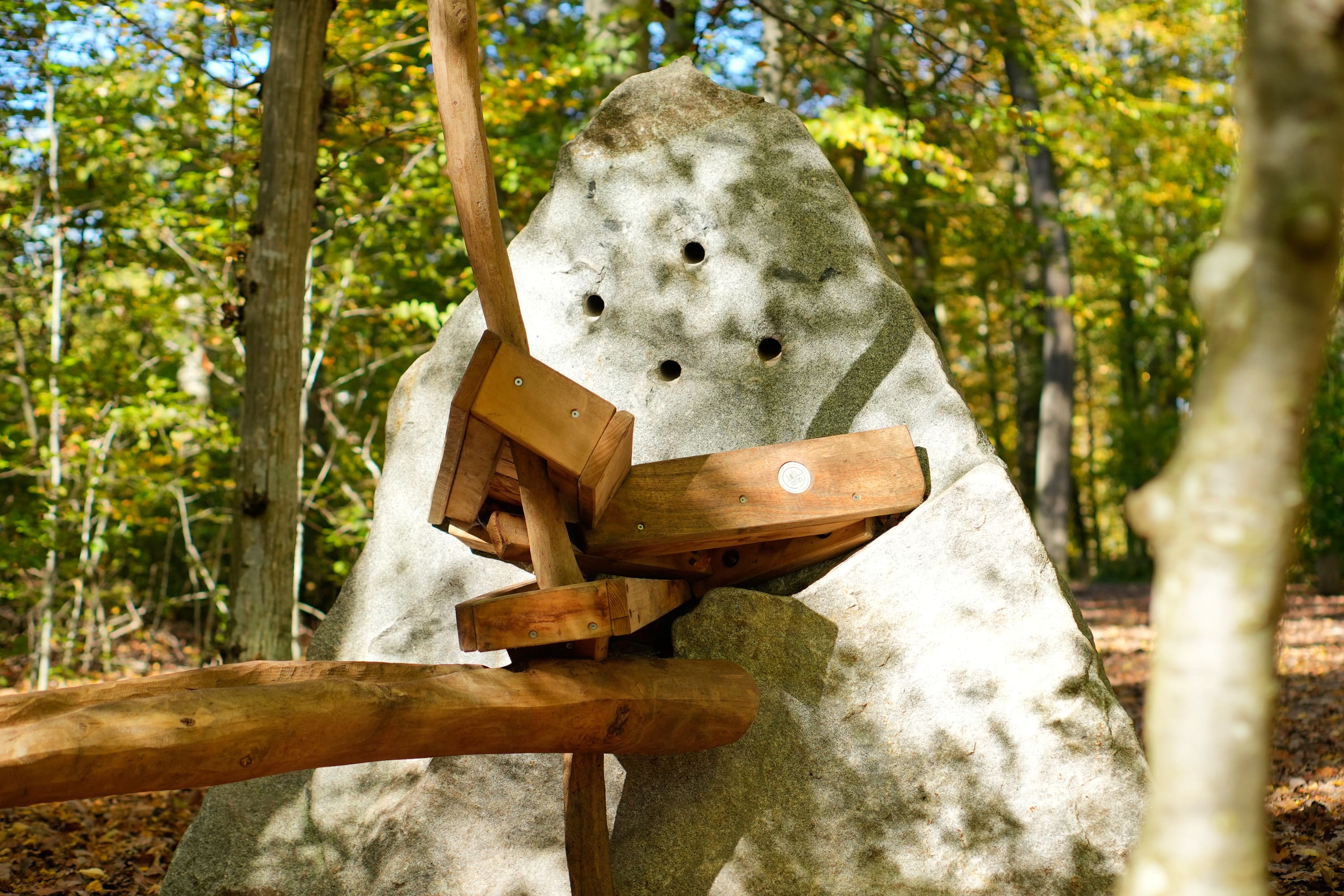 An einem großen Felsen mit Löchern befestigte Murmelbahn in einem Waldgebiet, durch dessen Bäume das Sonnenlicht fällt.