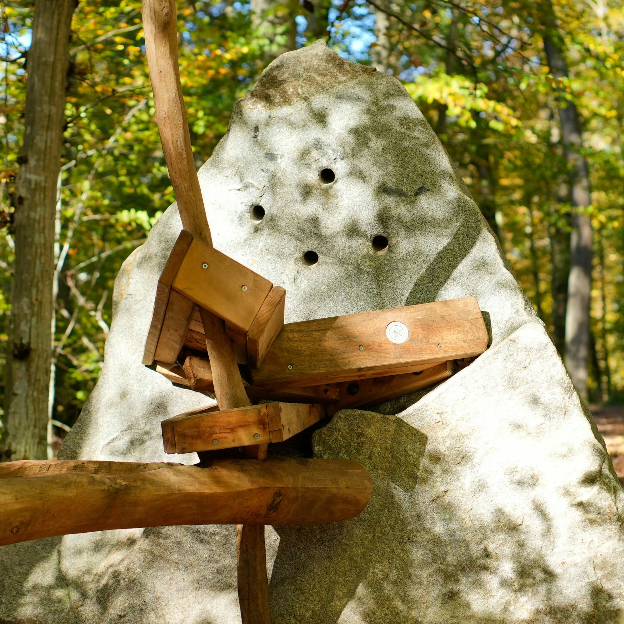 An einem großen Felsen mit Löchern befestigte Murmelbahn in einem Waldgebiet, durch dessen Bäume das Sonnenlicht fällt.