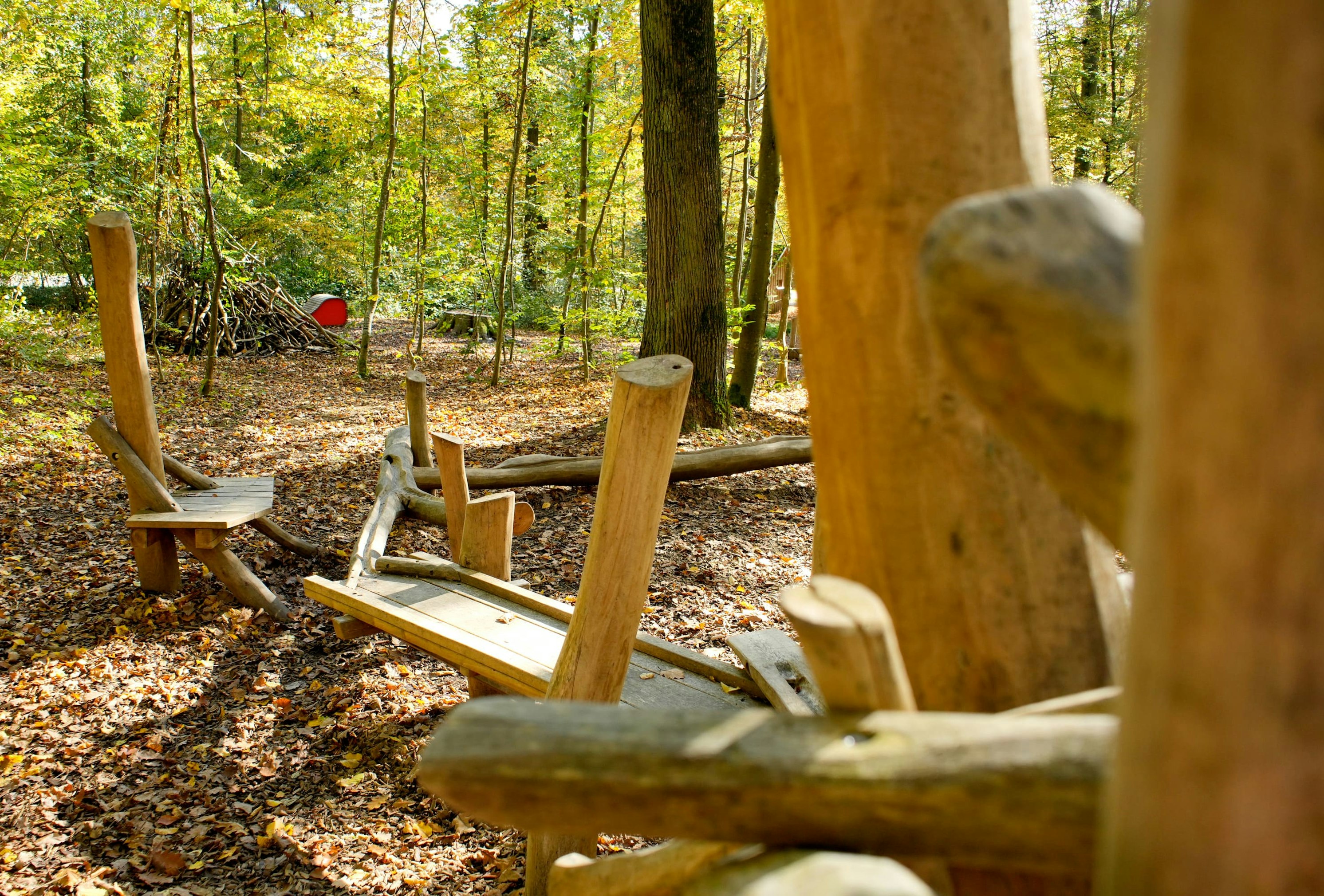 Hölzerne Murmelbahn in einem Wald, umgeben von gefallenen Blättern, mit dicht gedrängten Bäumen und einem roten Eimer im Hintergrund.