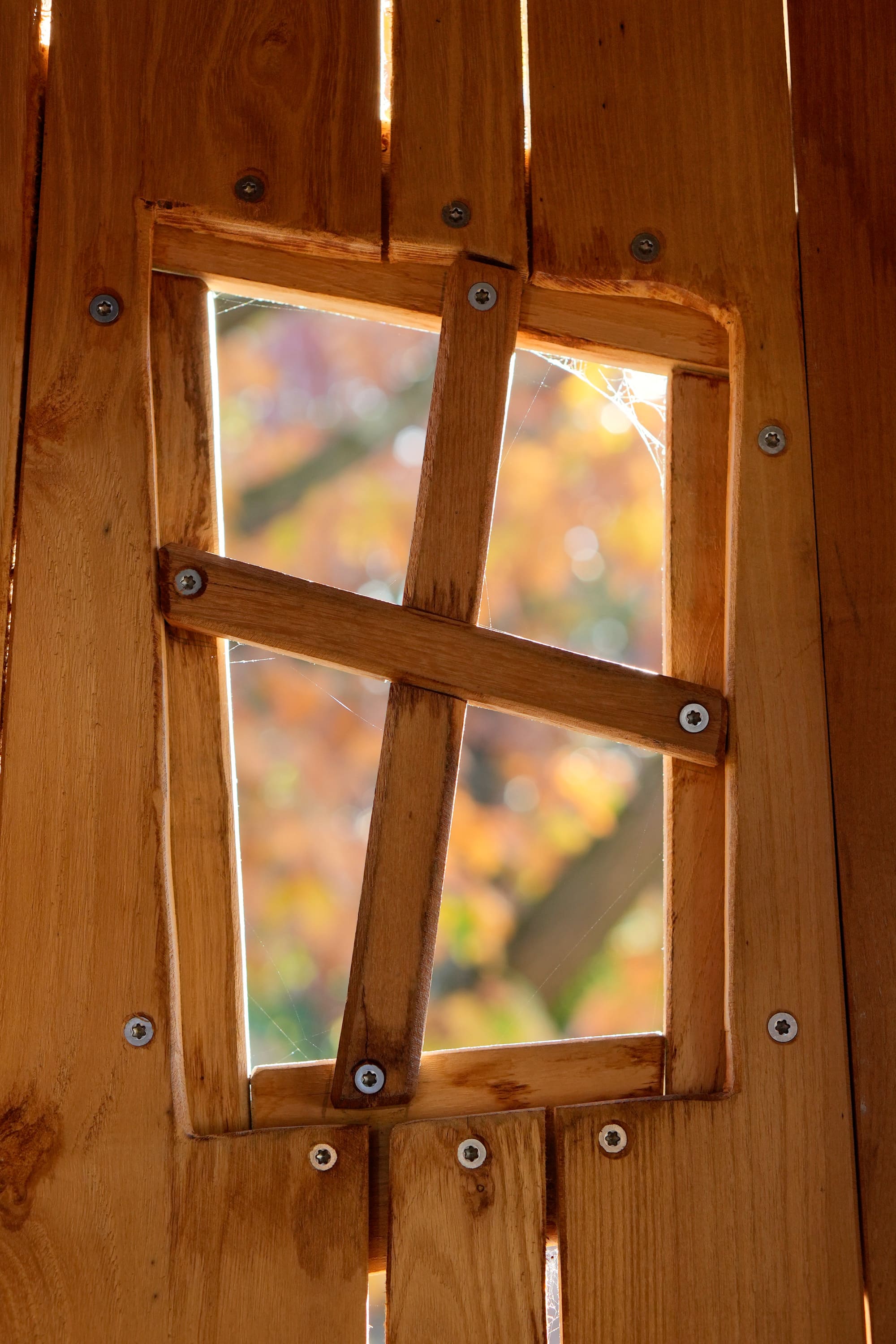 Eine Holzkonstruktion mit einem kleinen Fenster, das von schrägen Holzlatten eingerahmt und mit Schrauben befestigt ist. Im Hintergrund ist verschwommen das Herbstlaub zu erkennen.