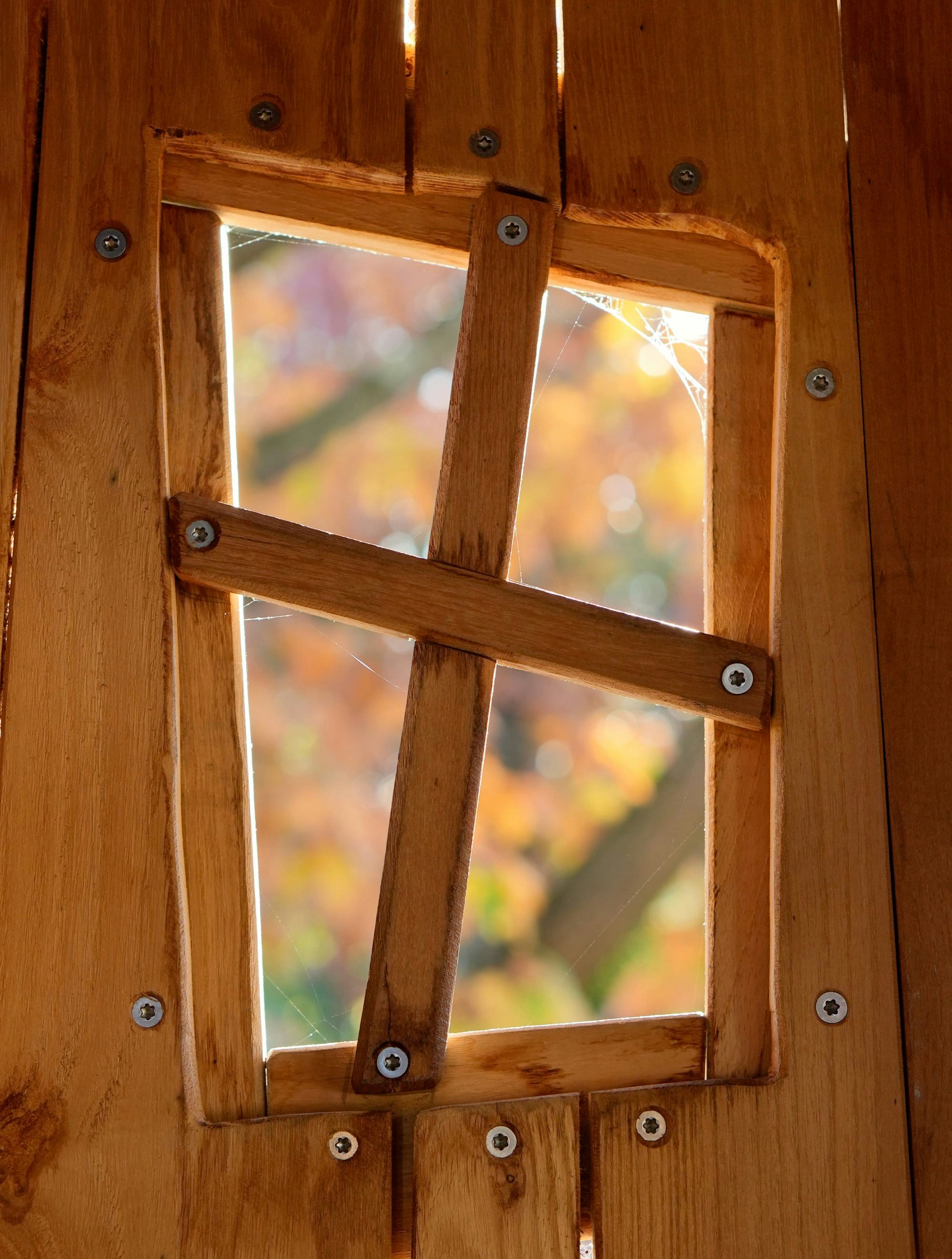 Eine Holzkonstruktion mit einem kleinen Fenster, das von schrägen Holzlatten eingerahmt und mit Schrauben befestigt ist. Im Hintergrund ist verschwommen das Herbstlaub zu erkennen.