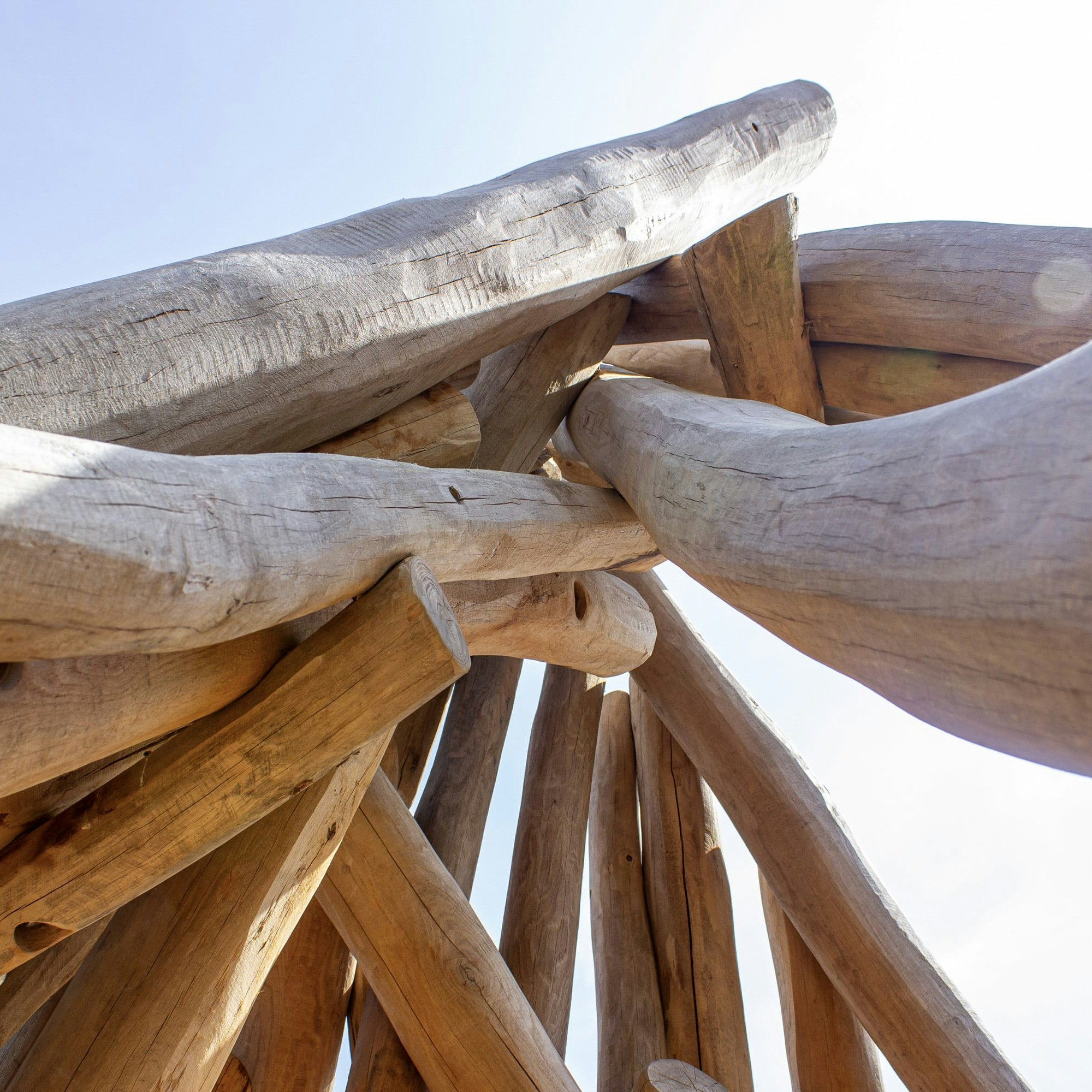 Nahaufnahme von großen, sich überlappenden Holzstämmen, die vor einem hellen, teilweise bewölkten Himmel eine Struktur bilden.