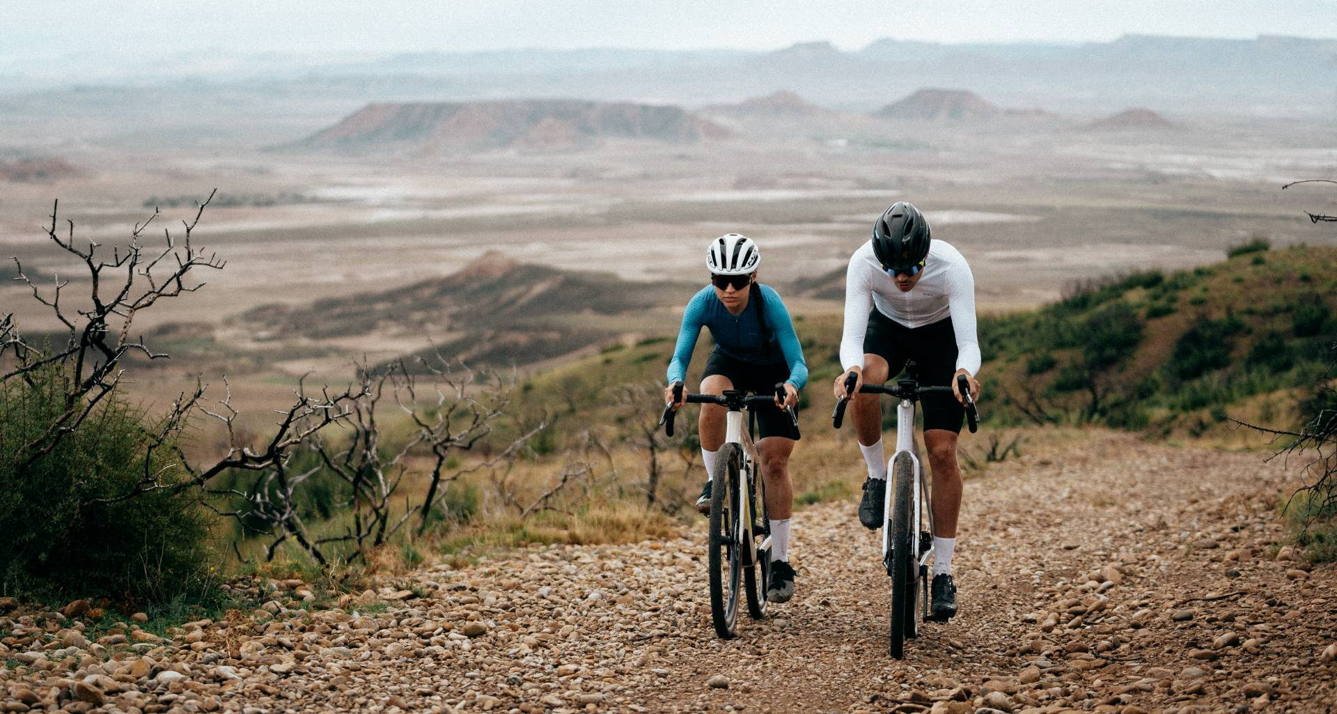 Mtb terra sales